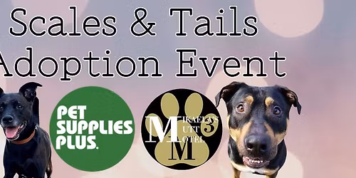 Scales & Tails Adoption Event!