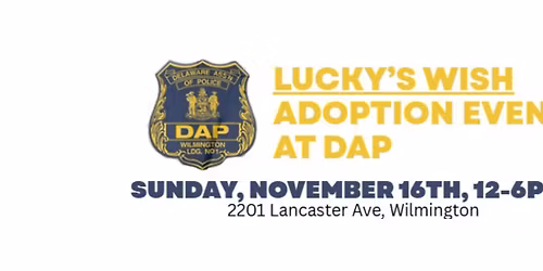 Lucky's Wish Adoption Event at DAP