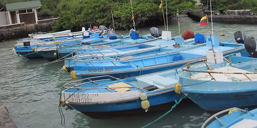 From Theory to Practice: A Human Well-Being Approach to Understanding the Socio-Economics of SSF