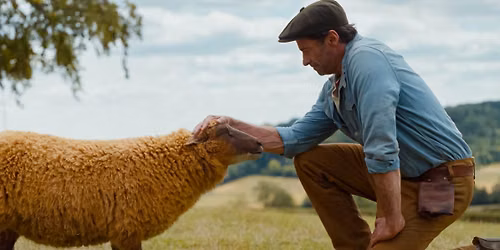 Sheep Detective (Film)