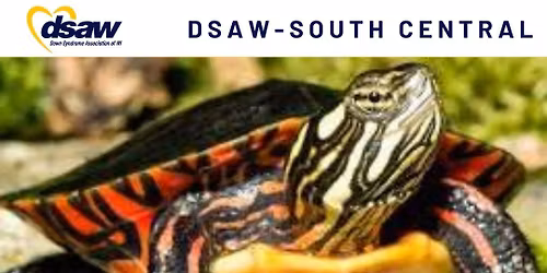 Animal Exploration Program