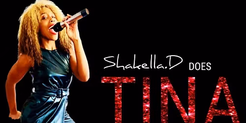 Tina Turner Tribute Night at The Midland Railway 