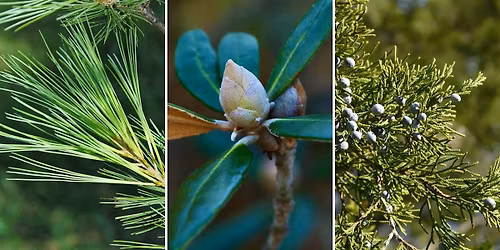 Celebrate the Season (3\/17)