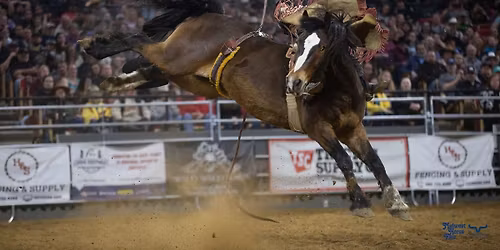 Midwest Horse Fair & Rodeo