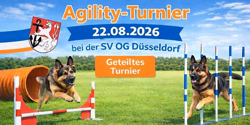 Agility Turnier (geteilt)