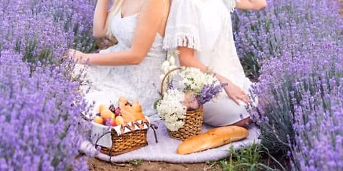 Excursi\u00f3n Campos de Lavanda de Brihuega