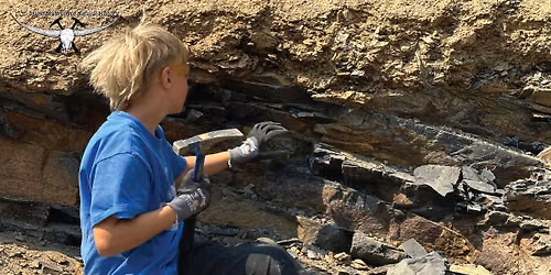 Trilobite Hunting