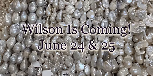 Wilson - Pearl Vendor Visit