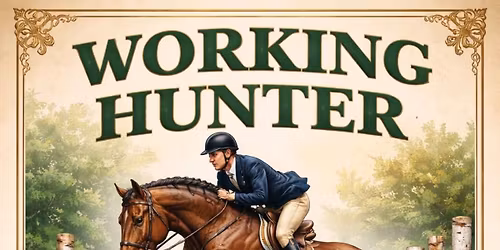 Working Hunter Jump Show - Westwood Equestrian Centre -SA18 3UD