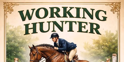 Working Hunter Jump Show - \u2600\ufe0f Sunshine Tour Qualifiers \u2600\ufe0f Westwood Equestrian -SA18 3UD  