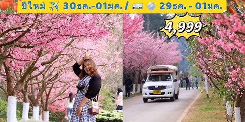 \u0e40\u0e17\u0e28\u0e01\u0e32\u0e25\u0e40\u0e0a\u0e35\u0e22\u0e07\u0e23\u0e32\u0e22\u0e14\u0e2d\u0e01\u0e44\u0e21\u0e49\u0e07\u0e32\u0e21 - \u0e14\u0e2d\u0e22\u0e0a\u0e49\u0e32\u0e07 - \u0e14\u0e2d\u0e22\u0e2d\u0e48\u0e32\u0e07\u0e02\u0e32\u0e07 (\u0e23\u0e16)