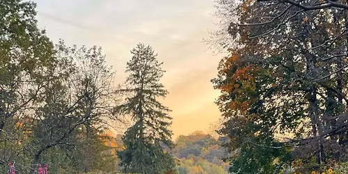 Follies and Grottoes: A talk by Phil Broomfield the Garden Detective