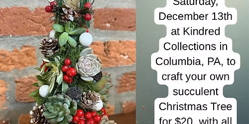 Make your own succulent Christmas tree \ud83c\udf32 