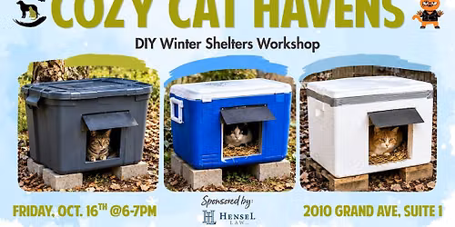 Cozy Cat Havens: DIY Winter Shelters Workshop