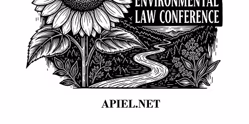 xAI in Memphis: A Case Study on AI Data Centers & Environmental Justice Issues