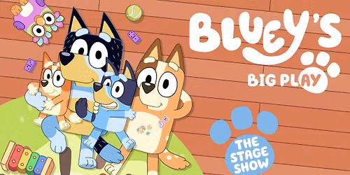 Bluey's Big Play