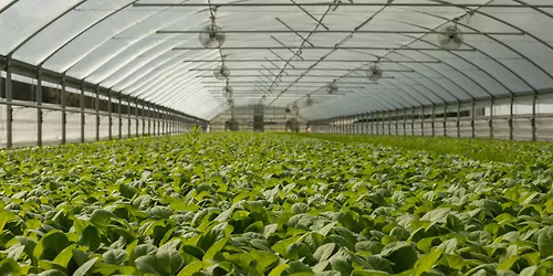 Cenagen - Community Consultation Session 