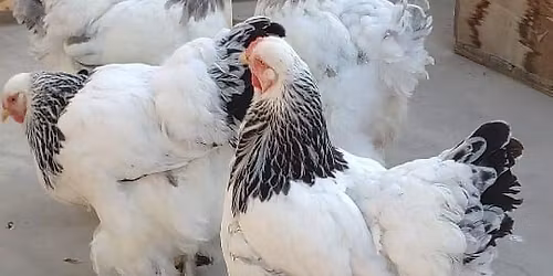 spiritual and healing center