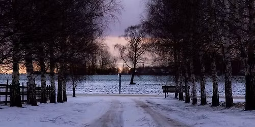 Julmys p\u00e5 Bj\u00f6rkn\u00e4s