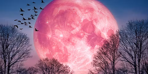 Pink Full Moon Sound Bath