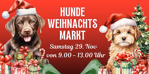 Hundeweihnachten in der Pfotenoase