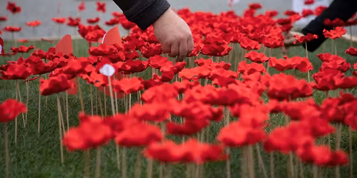 Pietn\u00ed "s\u00e1zen\u00ed" m\u00e1k\u016f | Den v\u00e1le\u010dn\u00fdch veter\u00e1n\u016f 2025 