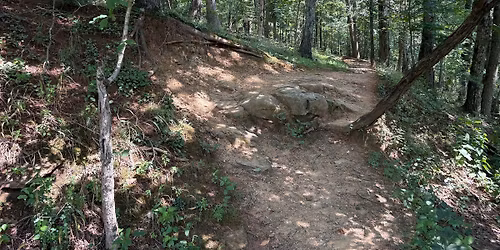 Broughton's 5-Miler Trail Race