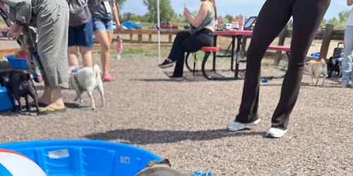 June Pug Meetup