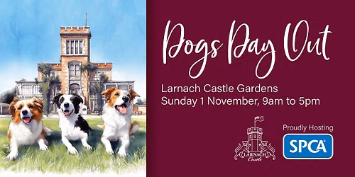 Dogs Day Out