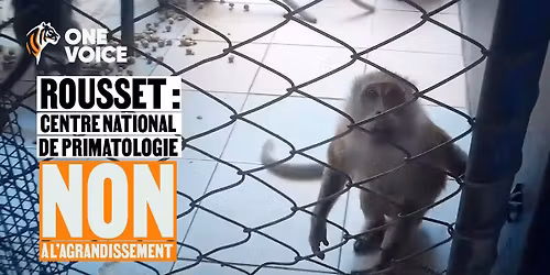 Montpellier - Non \u00e0 l'agrandissement du CNP de Rousset !  