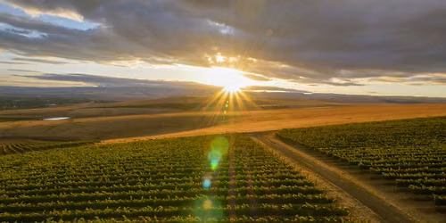 Wine Class--Sun, Soil, and Slopes--The Washington Wine Story