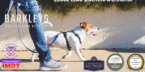 Loose Lead Walking Workshop