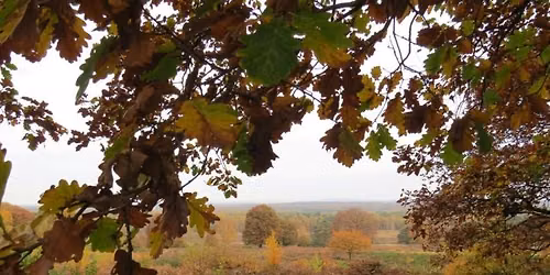 Jahreszeitenexkursion: Herbstw\u00e4rme
