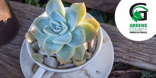Teacup Succulent Garden - ages 55 and up