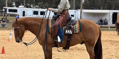 Advanced Horsemanship Clinic