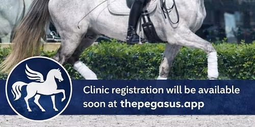 DSDCTA Dressage Clinic with Raul Roa Vadillo