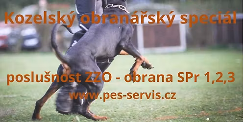 Obran\u00e1\u0159sk\u00fd speci\u00e1l SPr 1,2,3 a ZZO, s Vojtou Filipem a Josefem Dejmkem