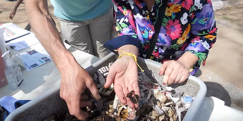 Vermicomposting: Worm Bins 101