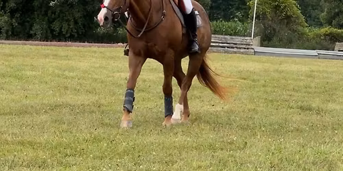 \ud83c\udfc7 The LTS Annual Derby Cross is BACK!