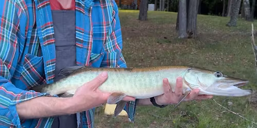 Good Clean Fun - Family-Friendly Comedy Show