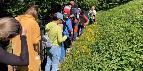 Smak p\u00e5 naturen