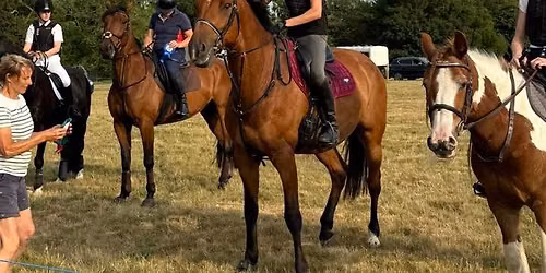 Westerfield Horse Show - Evening Show