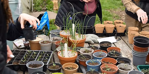 Community Growing: Sunday Volunteer Session at our Community Garden