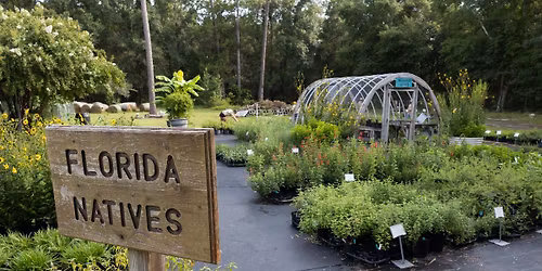 Garden & Landscape Help Desk at Home Depot - Native Plants