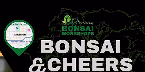 Bonsai & Cheers -Forward\/Slash - L&J Nursery - Bougainvillea Bonsai