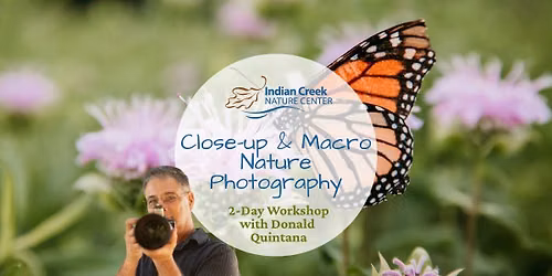 Close-up & Macro Nature Photography: From Capture to Focus Stacking