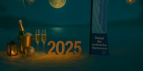 #SilberseeSilvesterSchwimmen