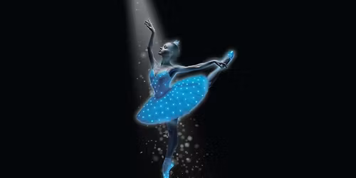 Grand Kyiv Ballet: Swan Lake Symphony Of Lights