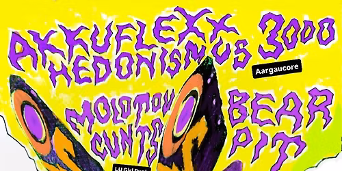 (P.I.K) Punk im Kaff Vol. 4