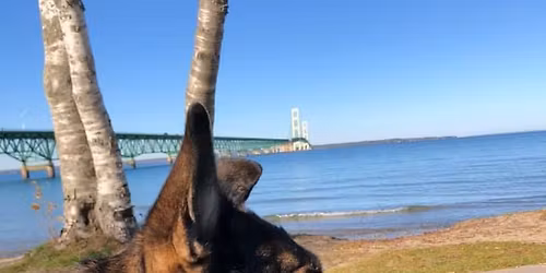 5th Annual K9 Canjo Memorial Bowling 4 Paws